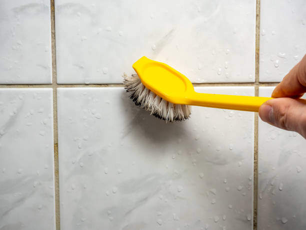 Trusted Necedah, WI Mold Removal Experts