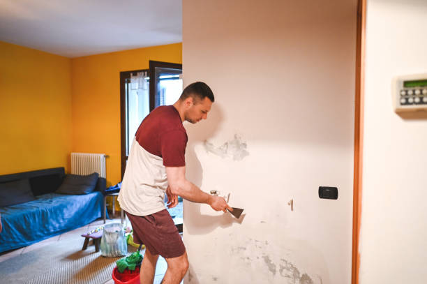 Best Mold Testing  in Necedah, WI