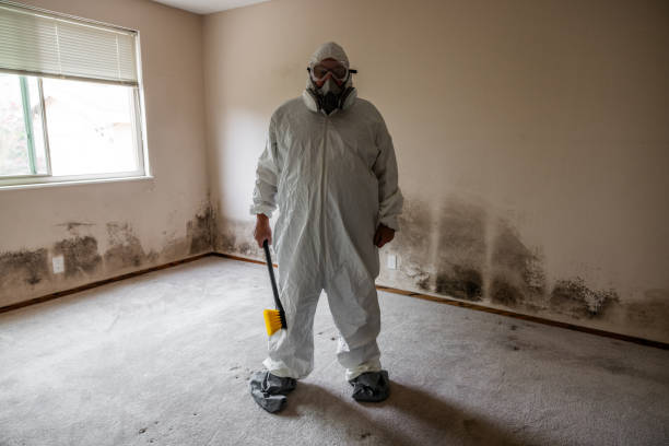 Best Residential Mold Removal  in Necedah, WI